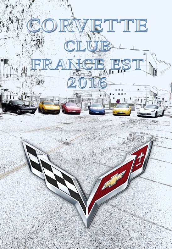 2017 ccfe livre des activite s 2016 1