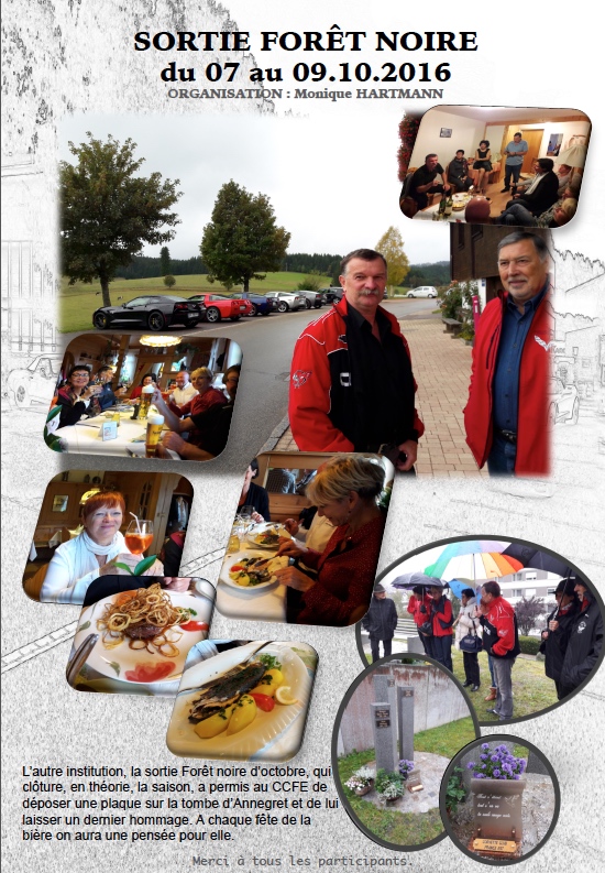 2017 ccfe livre des activite s 2016 36