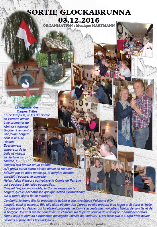 2017 ccfe livre des activite s 2016 39