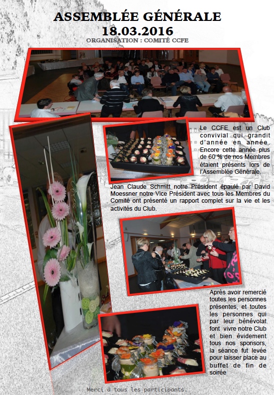 2017 ccfe livre des activite s 2016 7