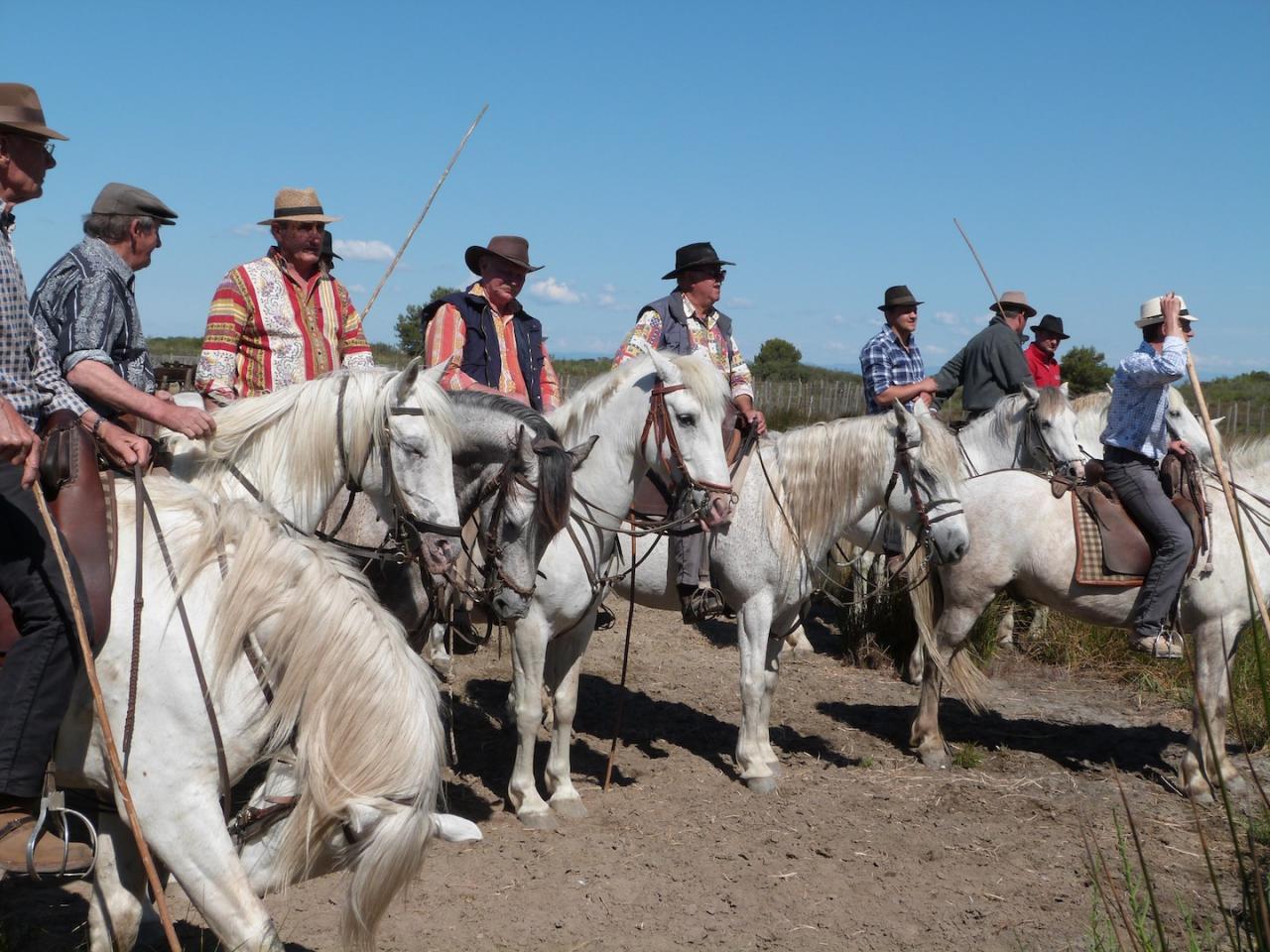 Camargue 2014 9