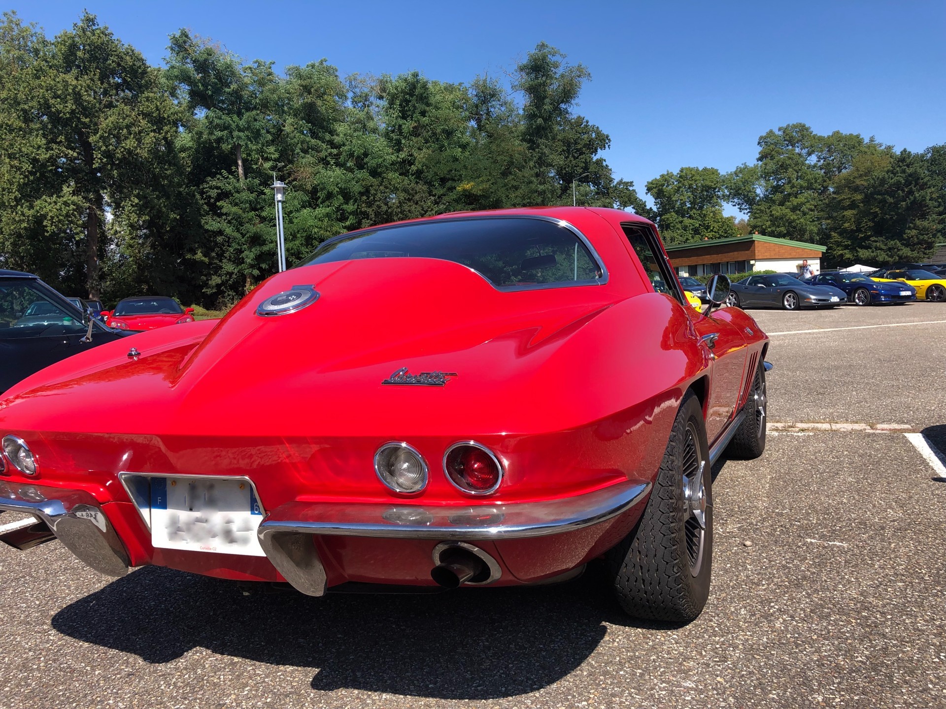 Corvette day 26