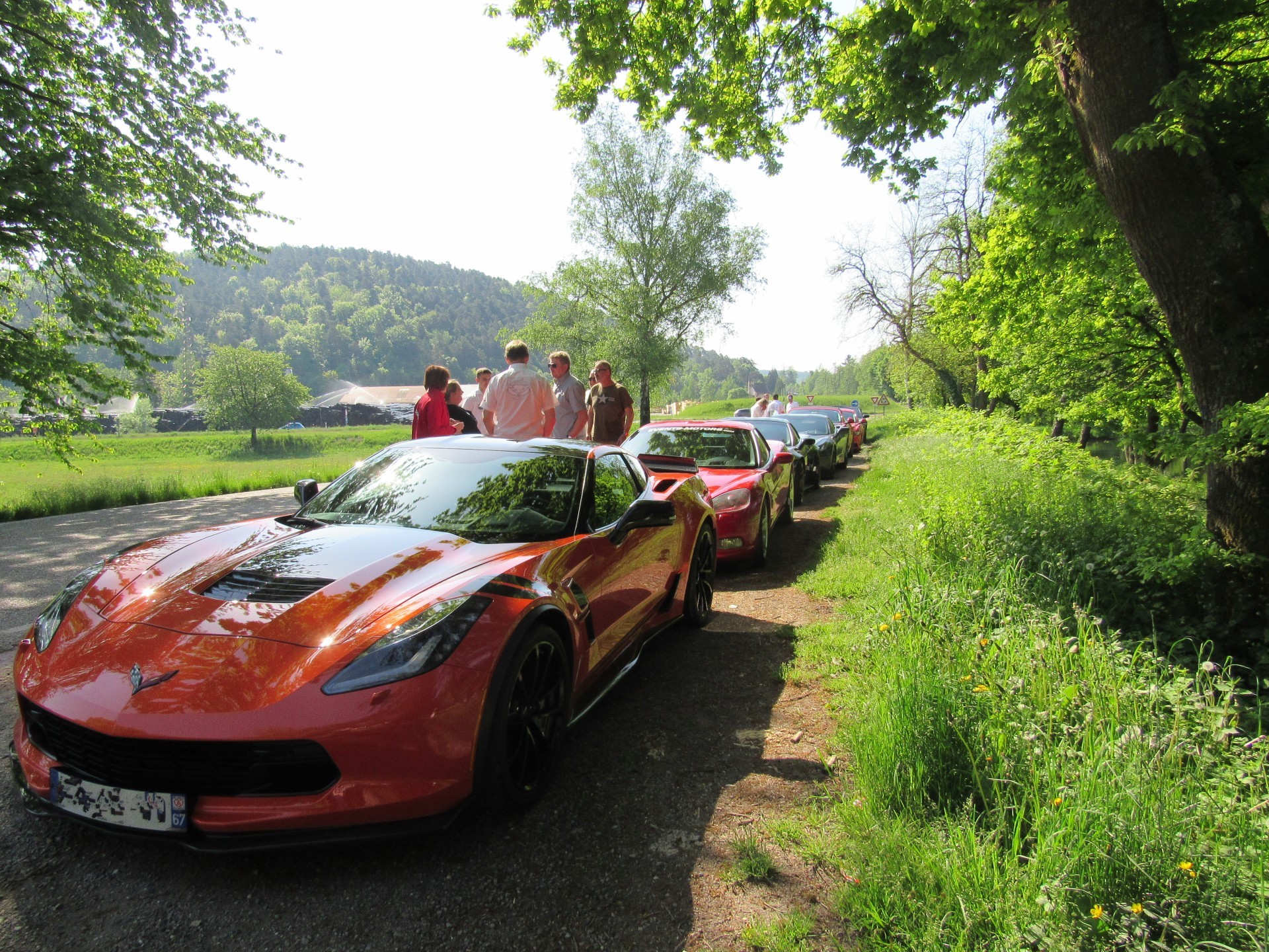 Corvette mustang bm 15