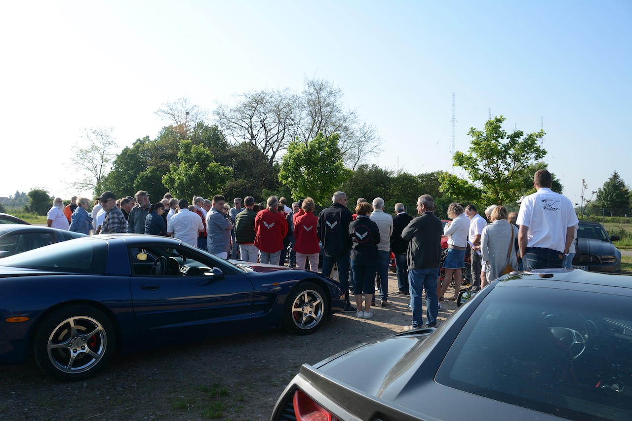 Corvettemustang 1