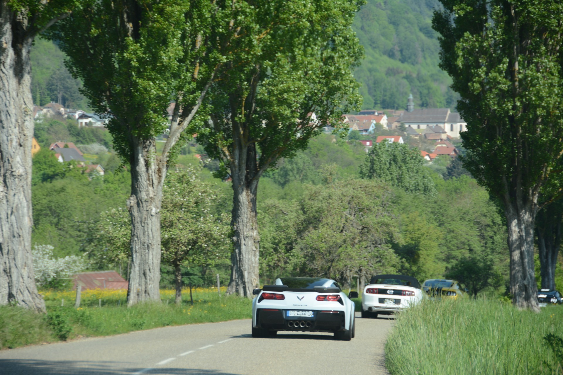 Corvettemustang 12