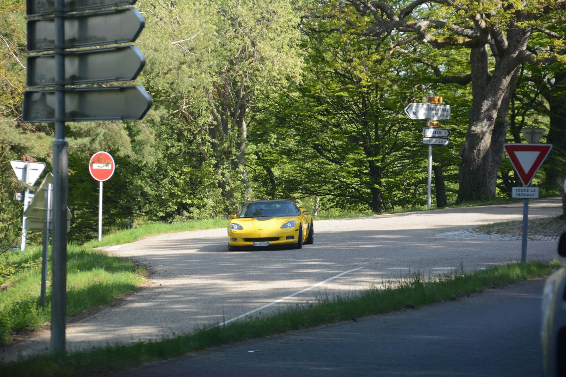 Corvettemustang 13