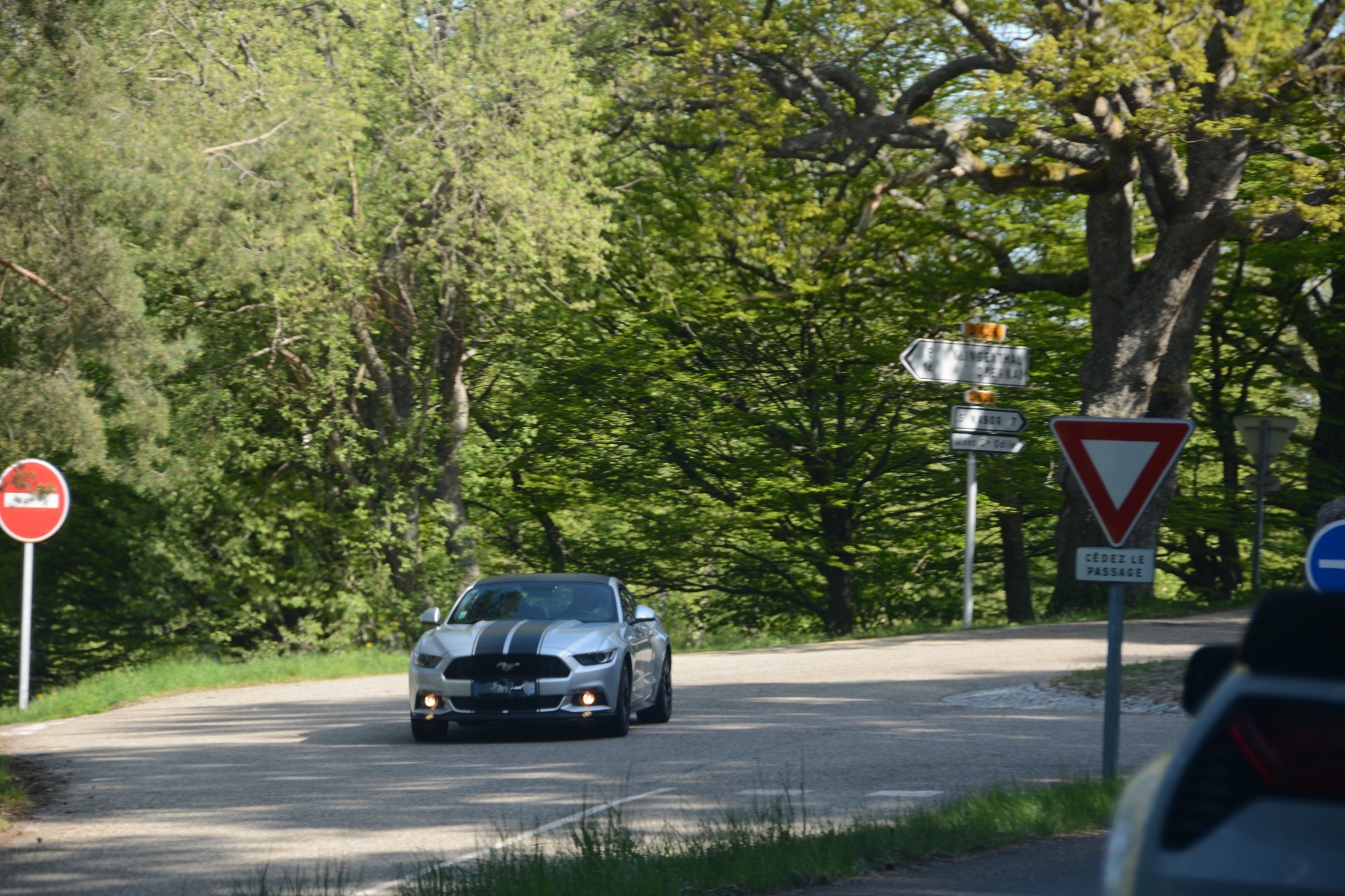 Corvettemustang 14