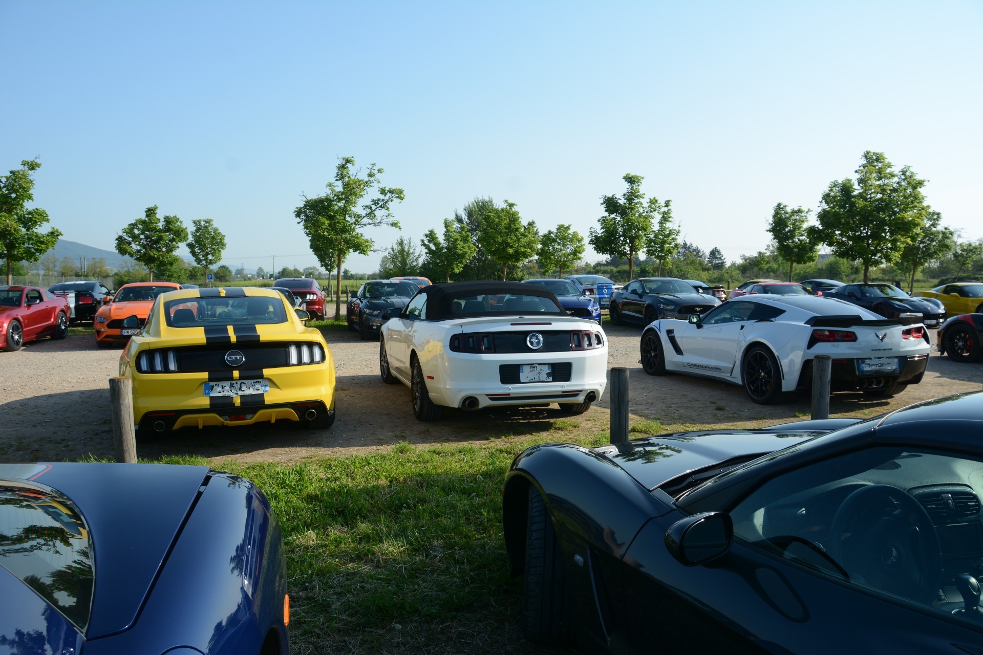 Corvettemustang 4