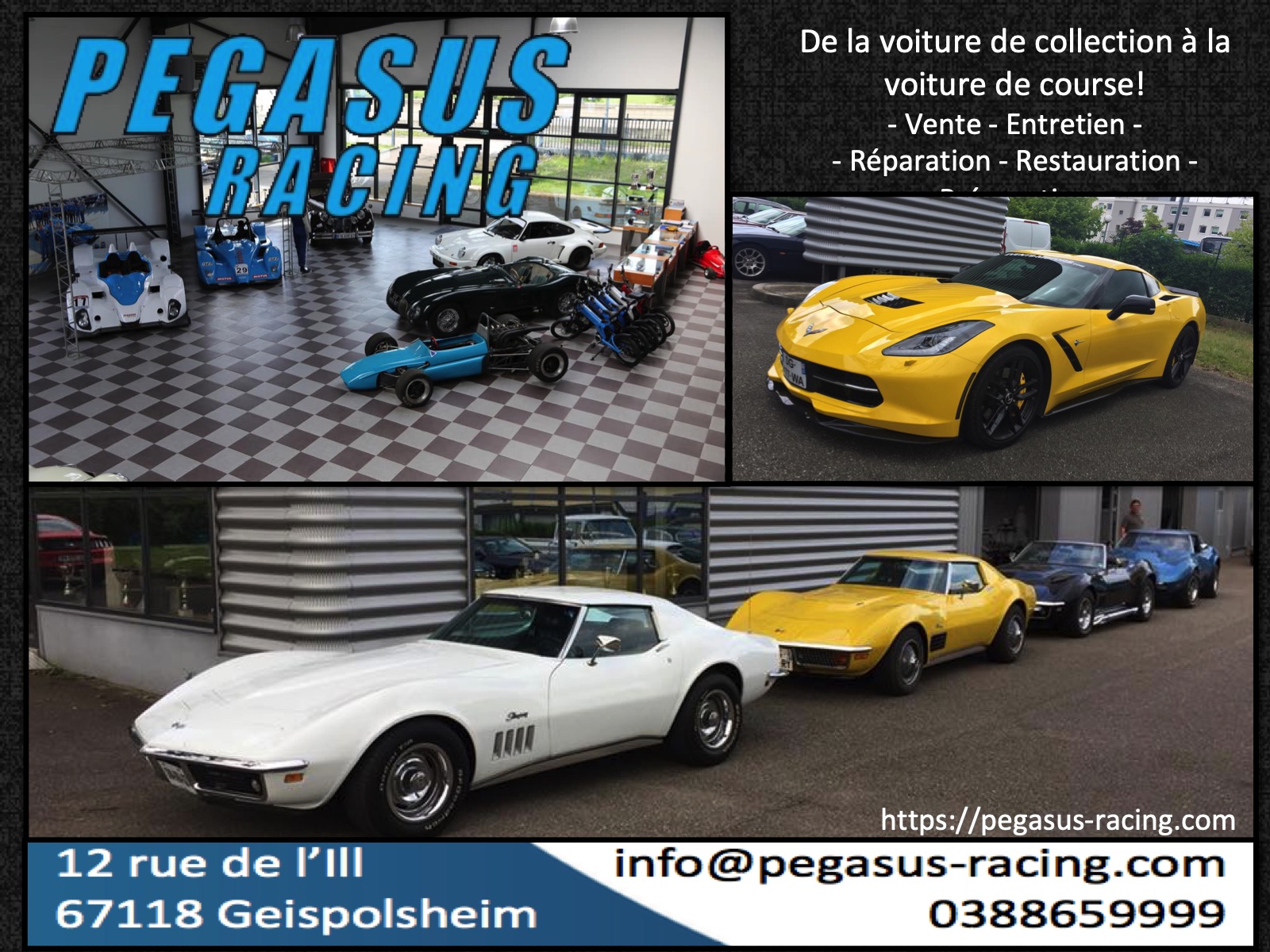 PEGASUS RACING 1