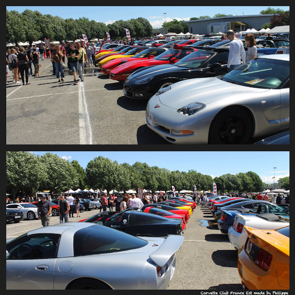 corvette club