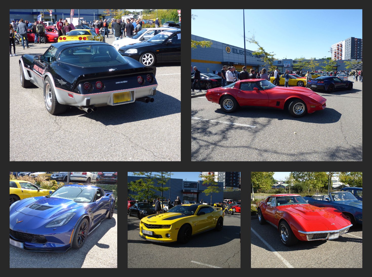 corvette club