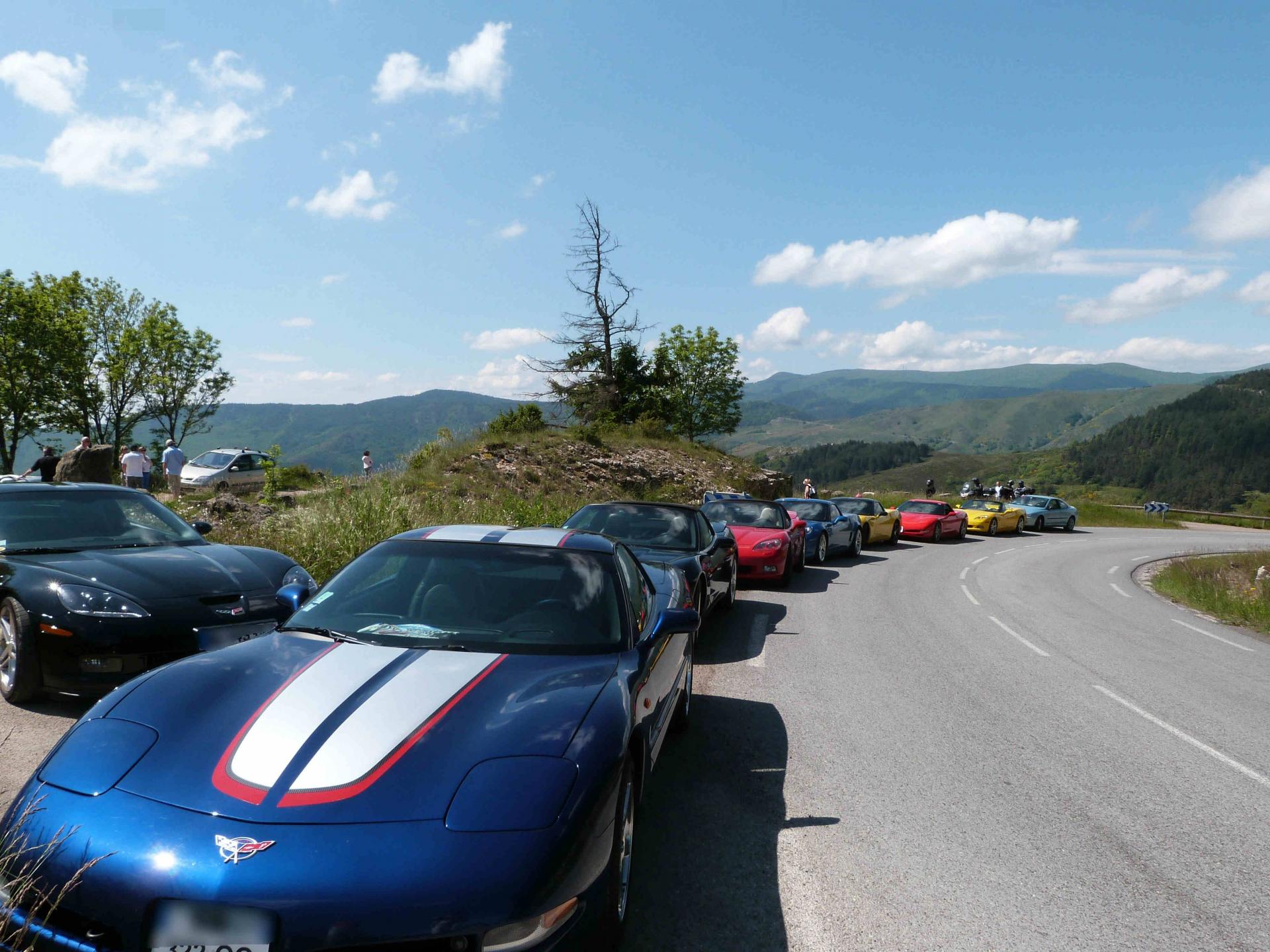 corvette club